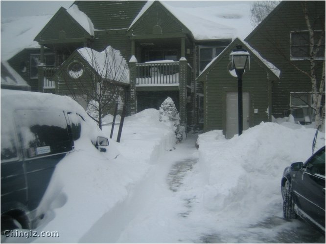 winter 011.jpg