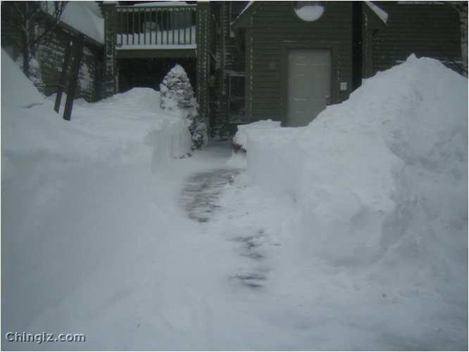 winter 014.jpg