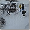 winter 006.jpg