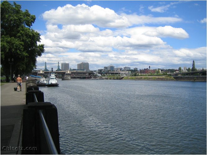 oregon 117.jpg