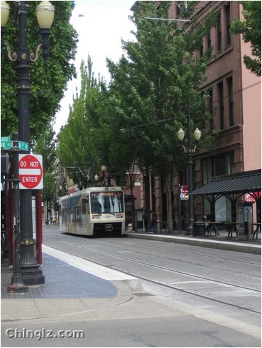 oregon 119.jpg
