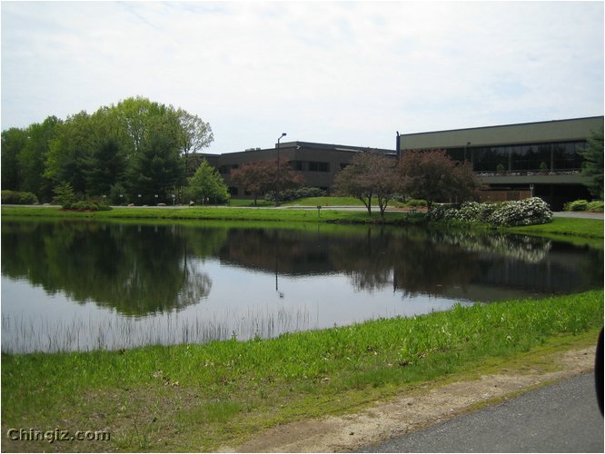 17 My office building.jpg